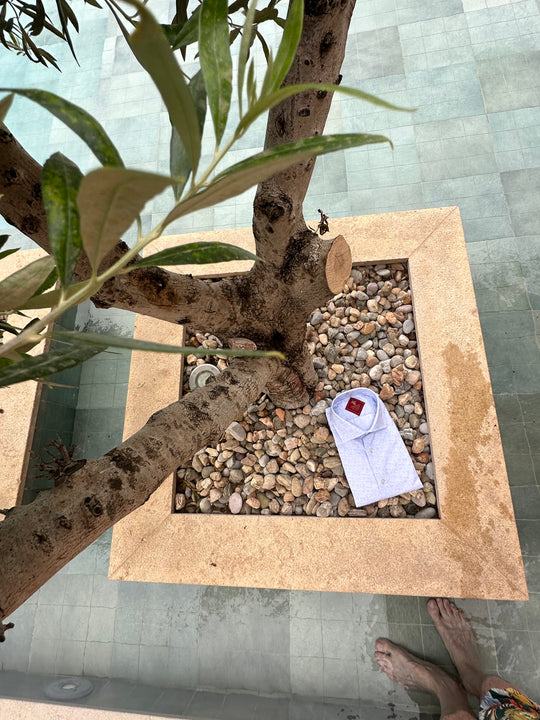 David K. Skjorte i blå 100% Bomuld med MiniPaisley