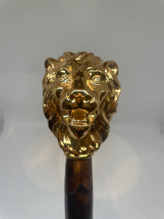 SKOHORN LANG - GULD/CASTAGNO LION