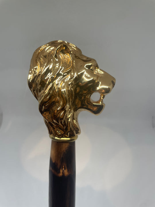SKOHORN LANG - GULD/CASTAGNO LION