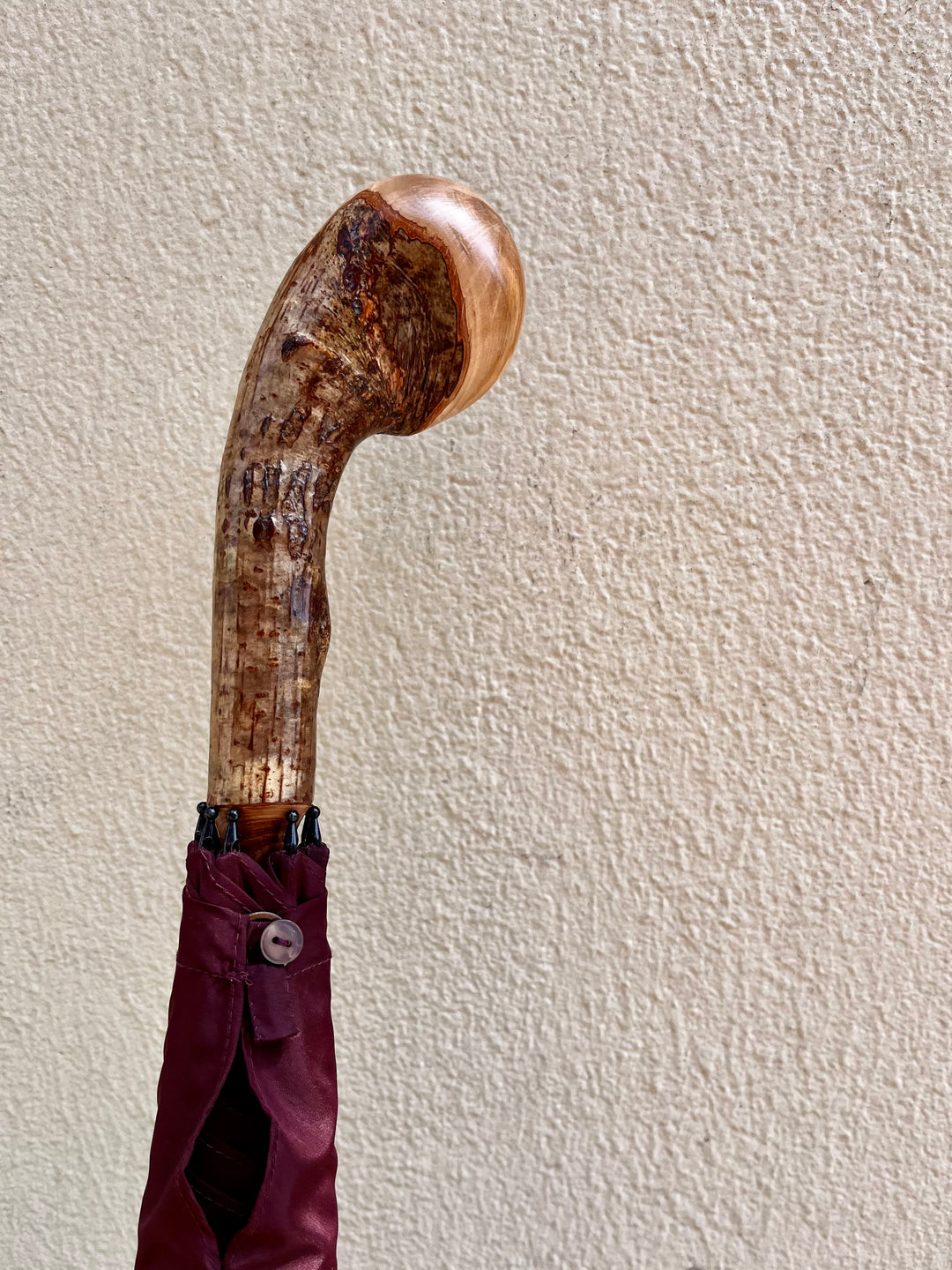 Bordeaux paraply med solid hasselnød knob