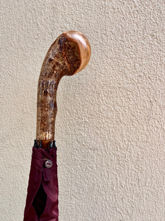 Bordeaux paraply med solid hasselnød knob